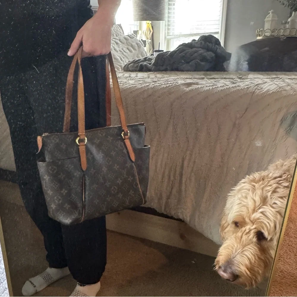 Louis Vuitton authentic louis